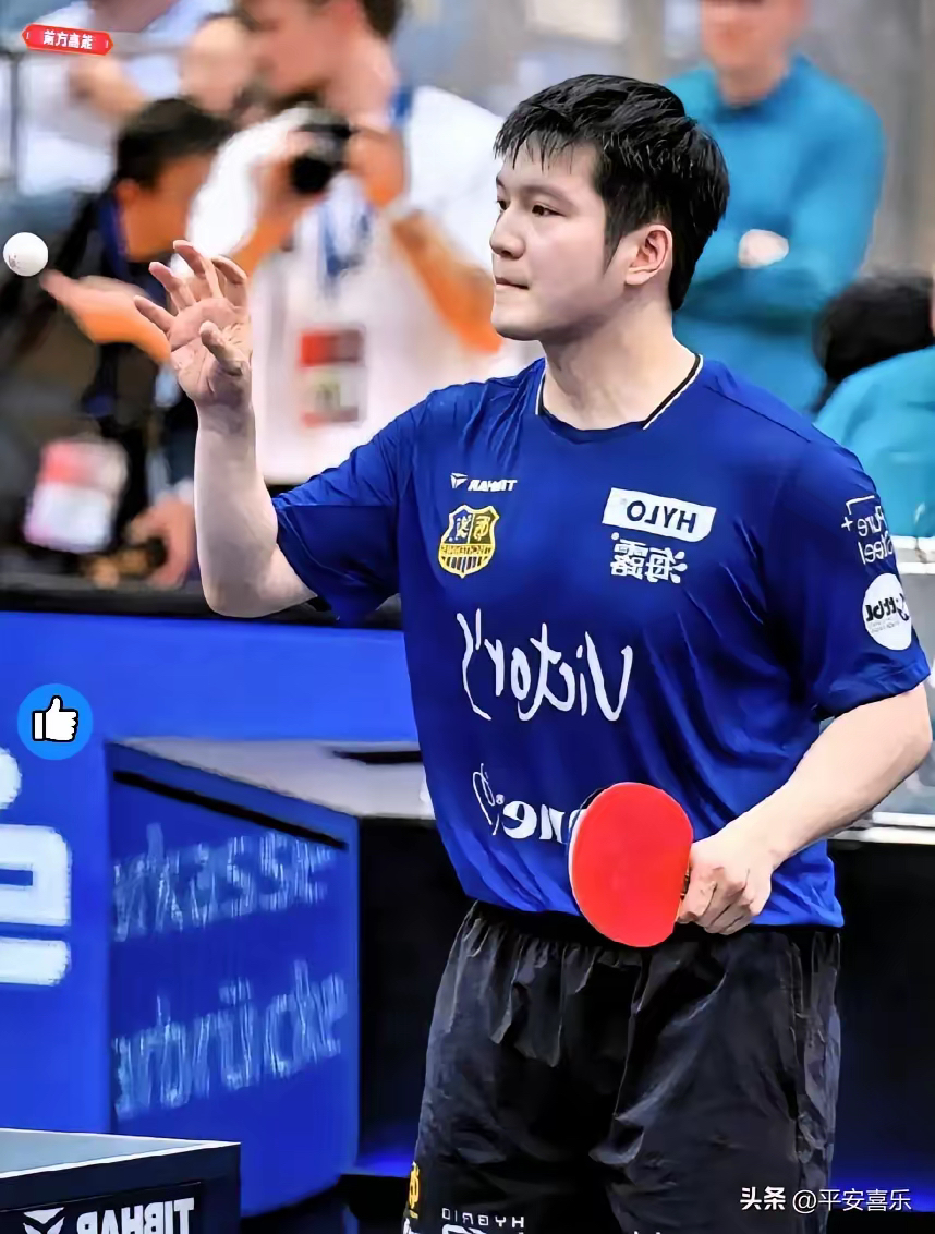 比利时乒乓球队碾压波兰乒乓球队,樊振东爆发神勇的简单介绍 比利时乒乓球队碾压波兰乒乓球队,樊振东爆发神勇的简单介绍
