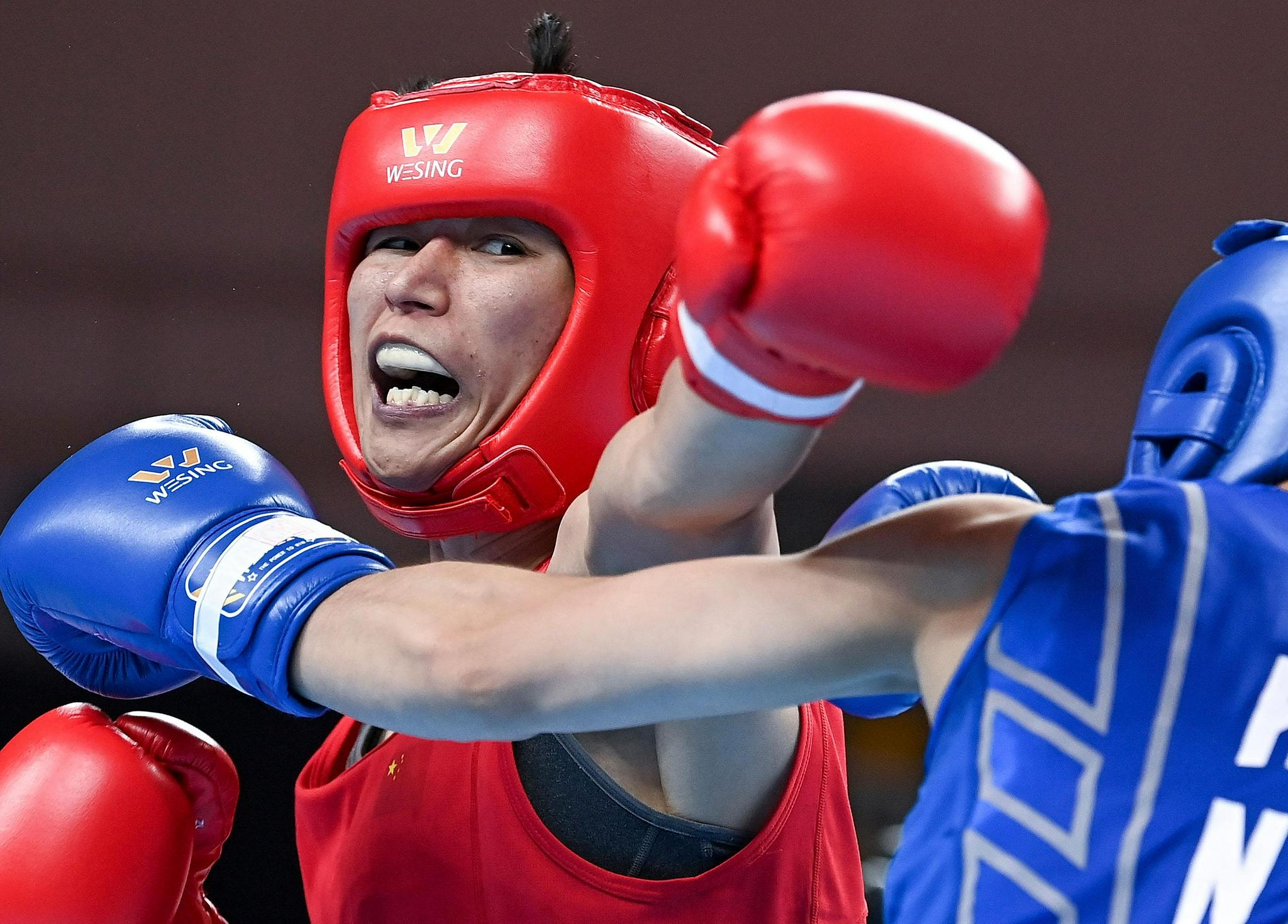 震撼现场：拳击女子冠军赛战幕开启的简单介绍