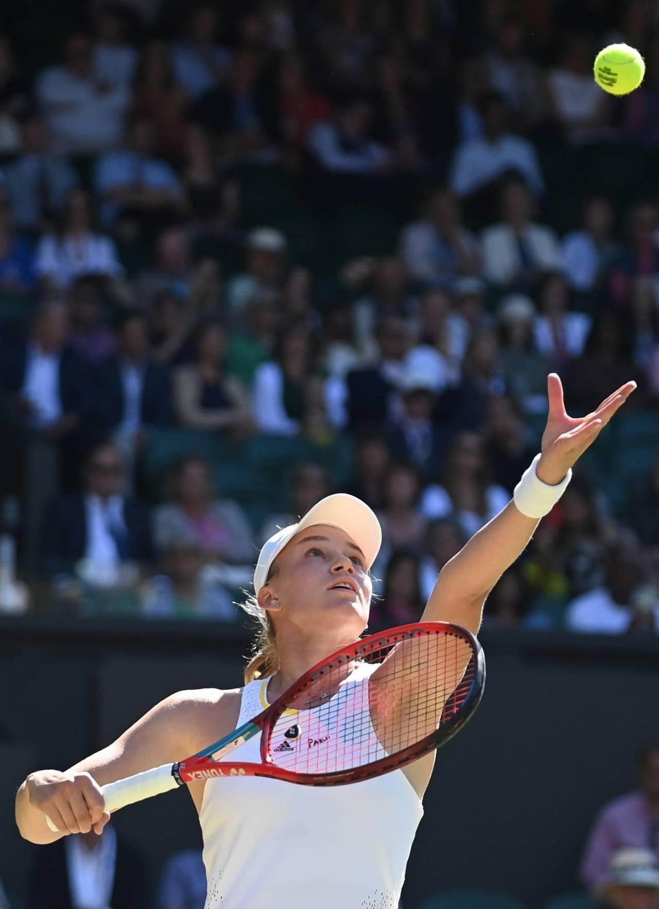 开云体育入口-关于联合杯横扫温网，鲁德惊艳四座的信息