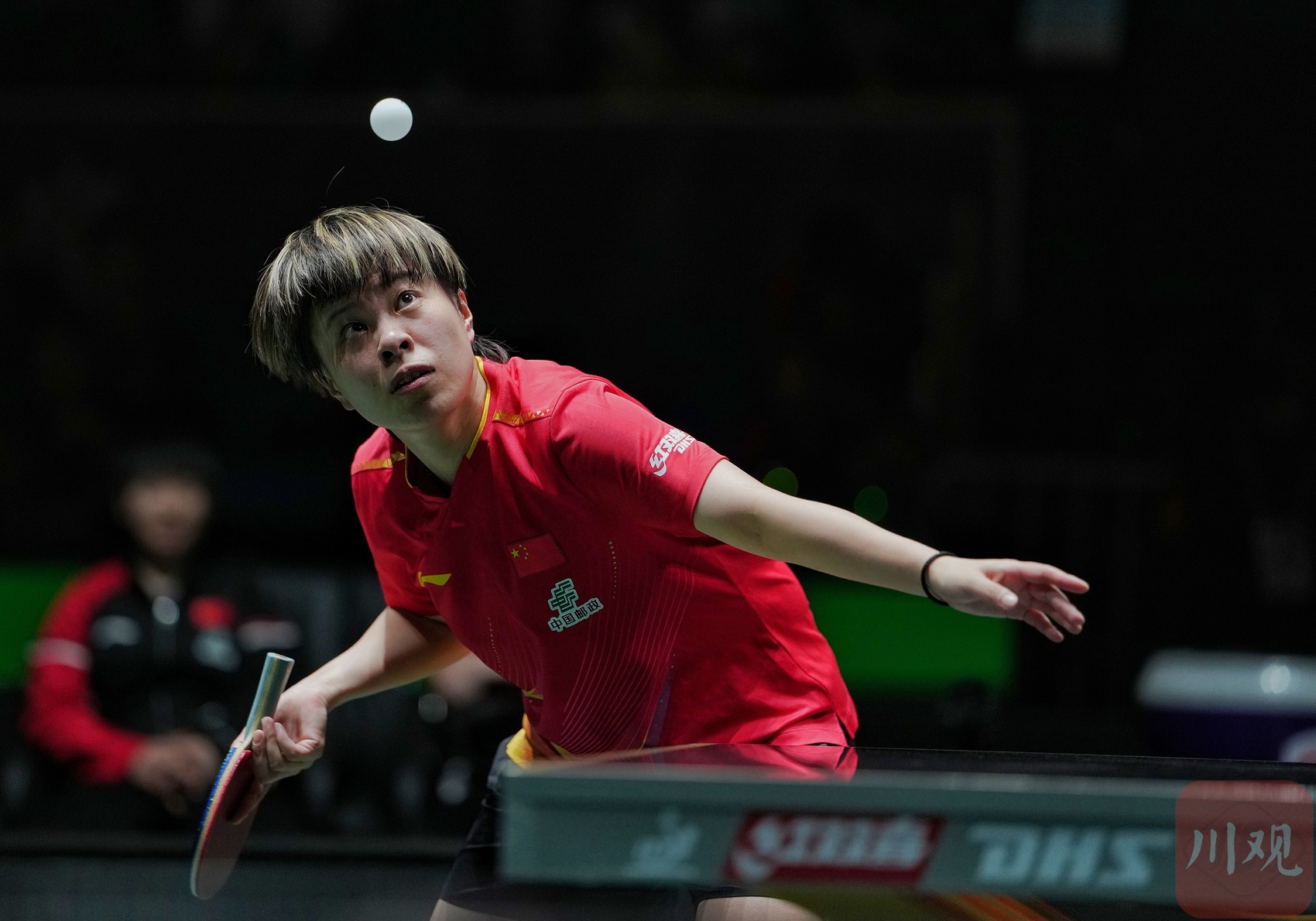 包含瑞典乒乓球队完胜德国乒乓球队，许昕统治全场的词条