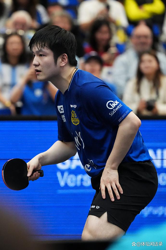 英格兰队轻取德国队,樊振东关键制胜 英格兰队轻取德国队,樊振东关键制胜