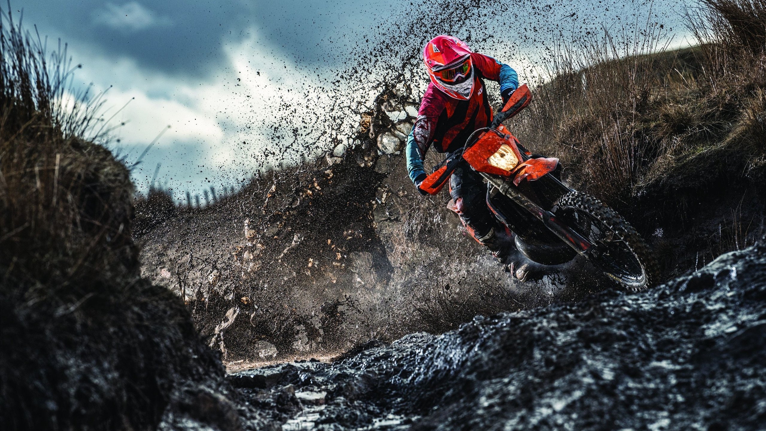 从温网逆转到戴维斯杯救赎，辛纳的高光时刻与意大利网球新纪元